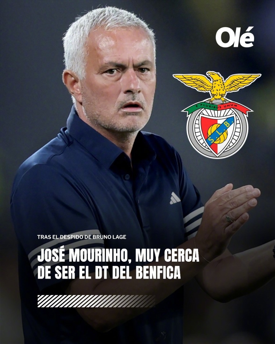 球迷们都在, 接受本菲卡